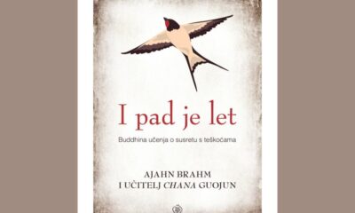 i-pad-je-let