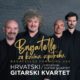 Hrvatski gitarski kvartet