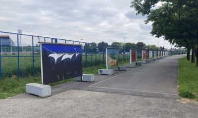 Kultura življenja i košarka