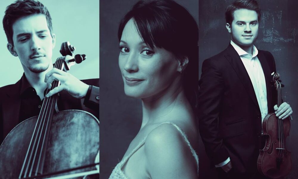 Trio Bruno Delepelaire