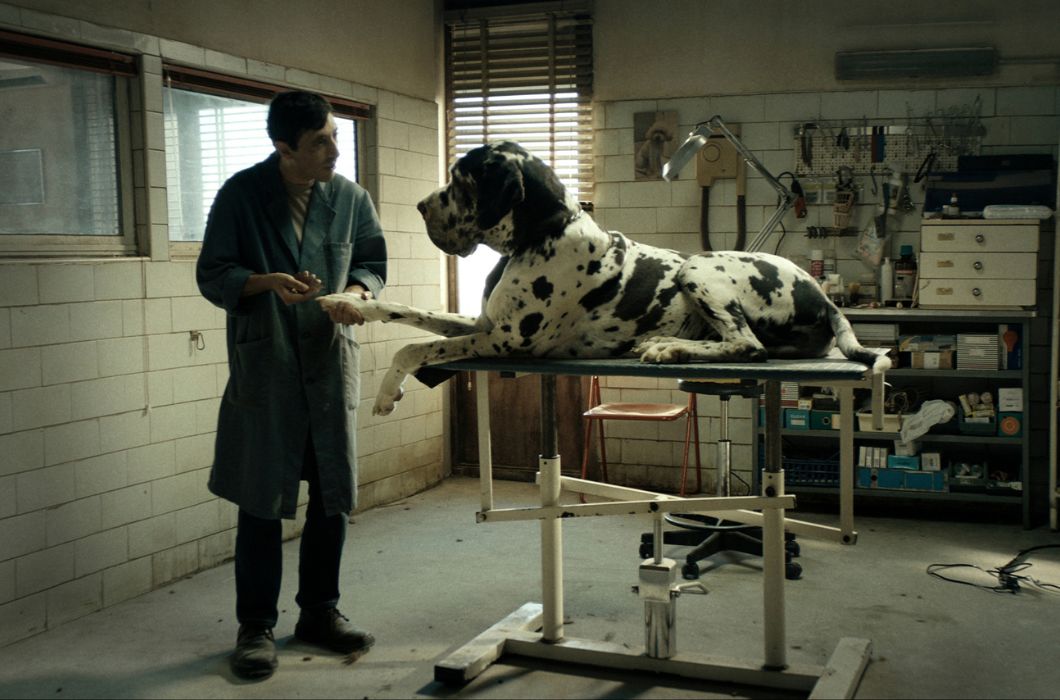 motovun film festival