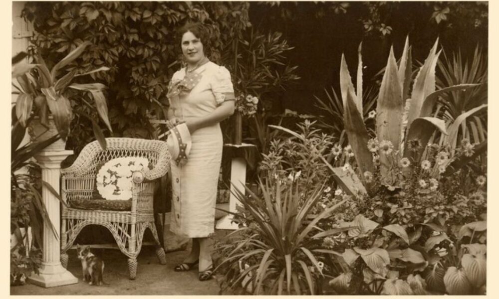 tajne požeških dvorišta