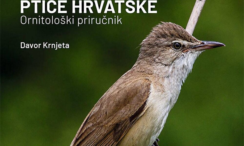 Ptice-hrvatske_ornitoloski-prirucnik