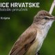 Ptice-hrvatske_ornitoloski-prirucnik