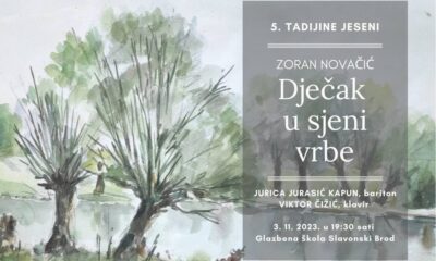 dječak u sjeni vrbe