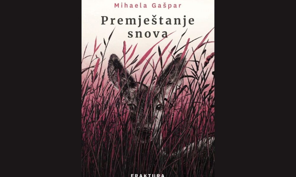 premještanje snova