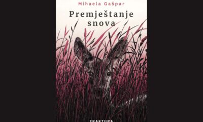 premještanje snova