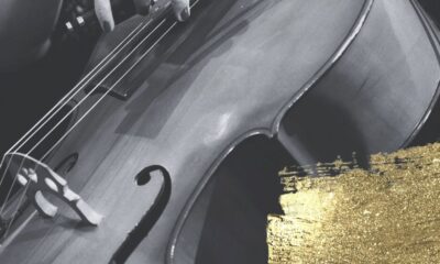 novogodišnji koncert