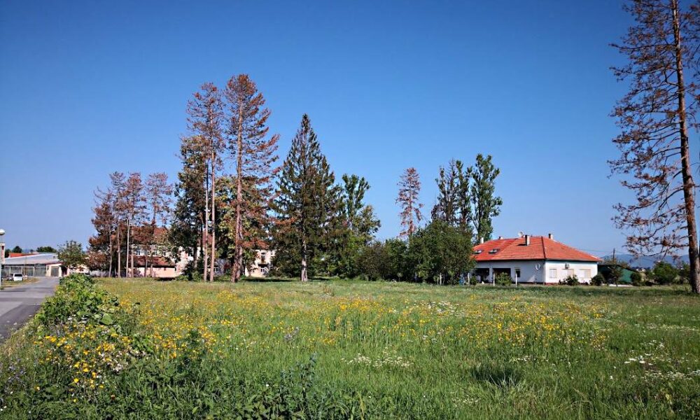 Camera Aurea-foto natječaj