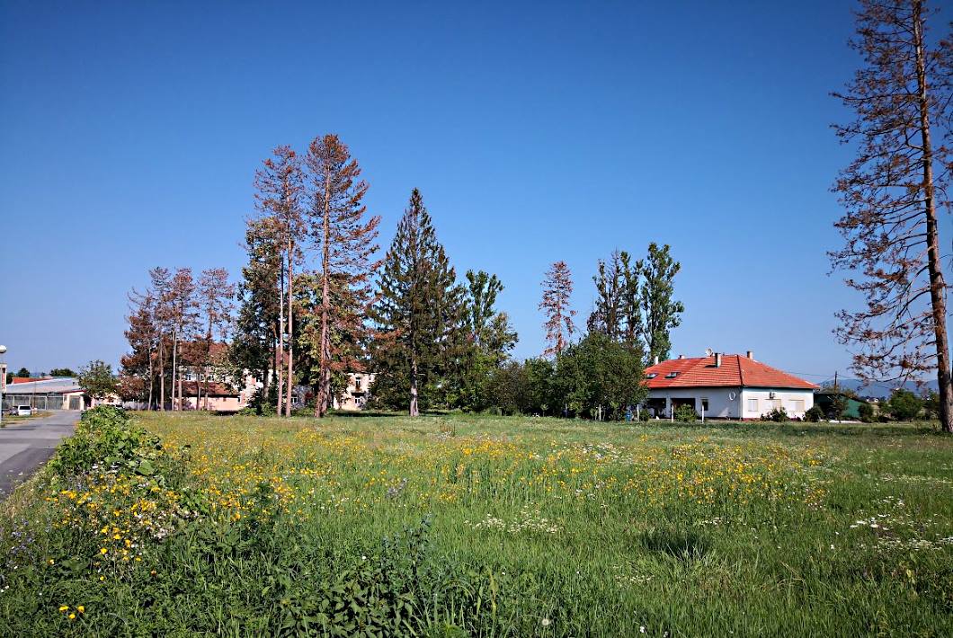 Camera Aurea-foto natječaj