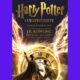 Harry Potter i ukleto dijete
