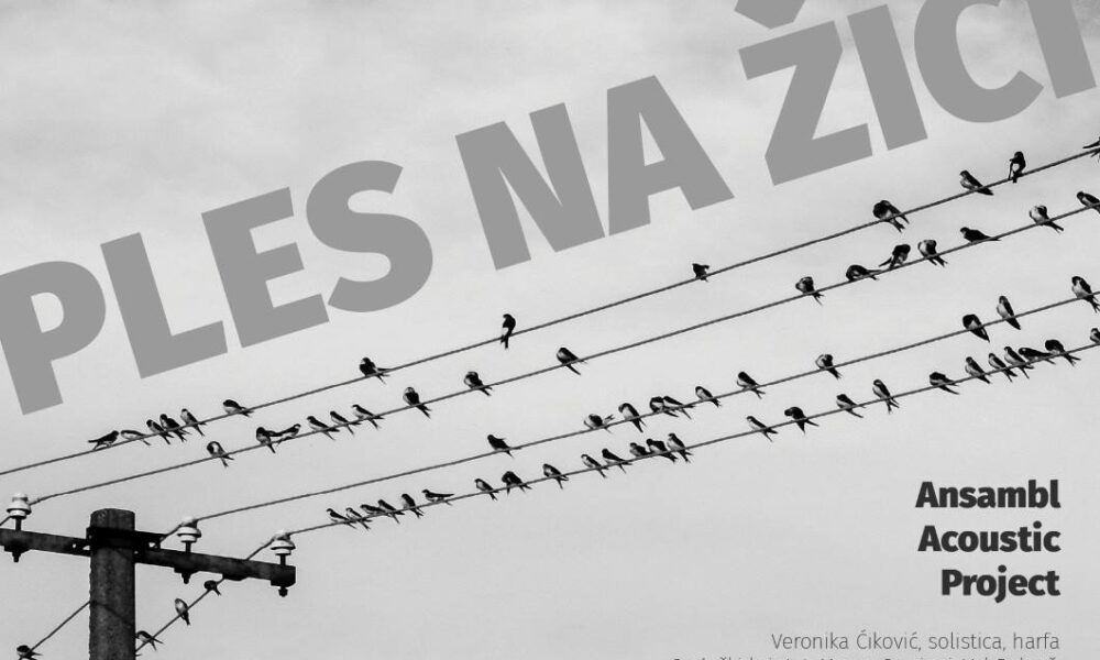 ples na žici