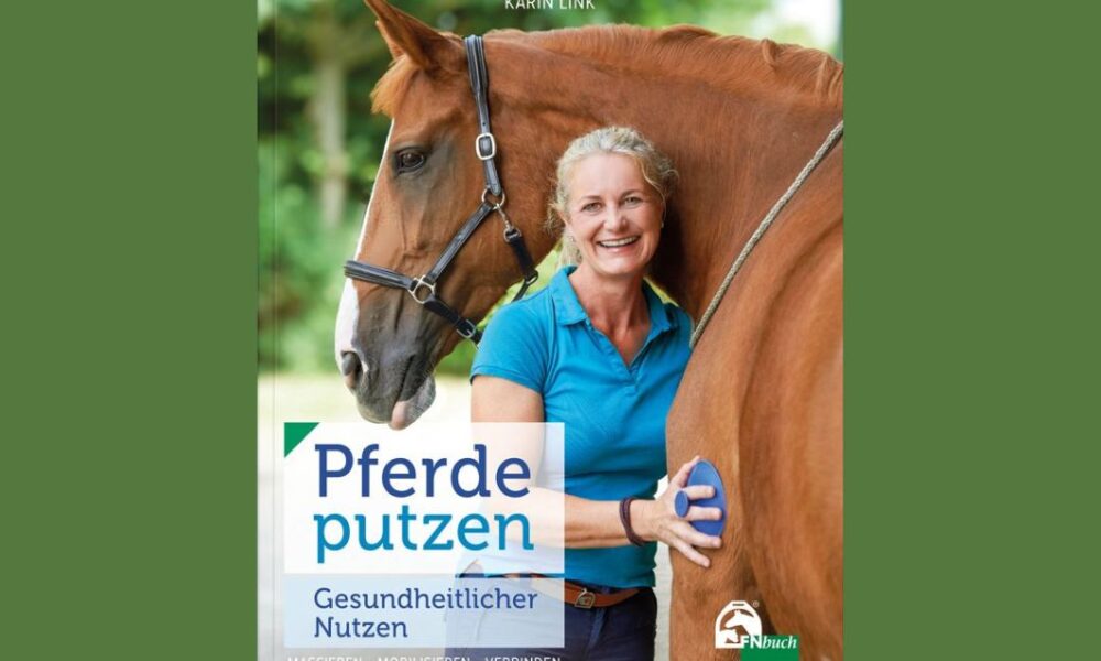 Pferde putzen