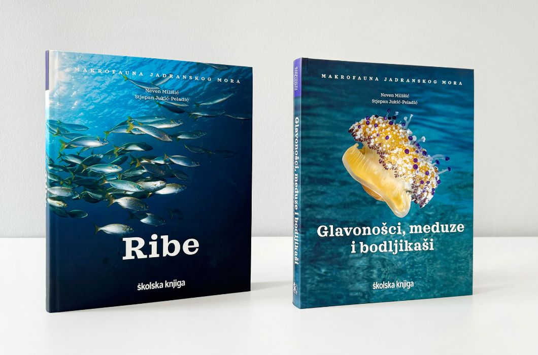 Ribe i Glavonošci, meduze i bodljikaši u izdanju Školske knjige