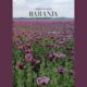 Baranja - putopis