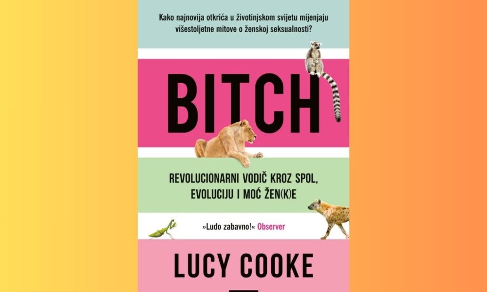 Bitch