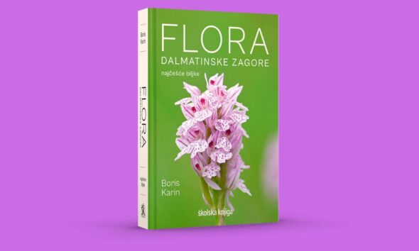Flora Dalmatinske zagore