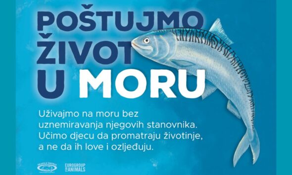 Poštujmo život u moru