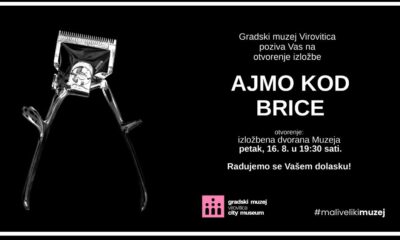 Ajmo kod brice