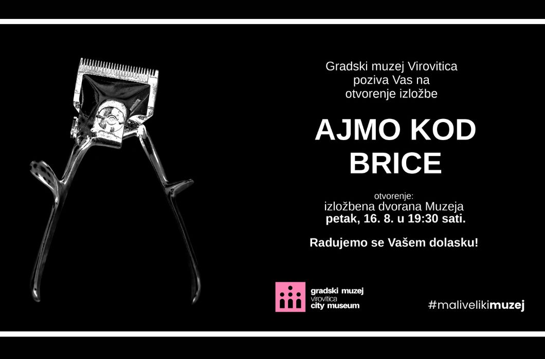 Ajmo kod brice