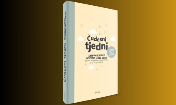 Dnevnik prve godine moje bebe