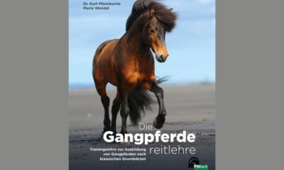 Die Gangpferde reitlehre