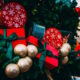 Legendarni Advent na Trgu