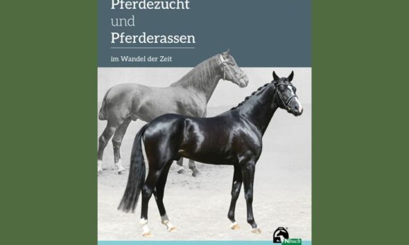 Pferdezucht und Pferderassen