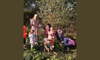 Šumski Memory: Igra, istraživanje i jačanje otpornosti u prirodi