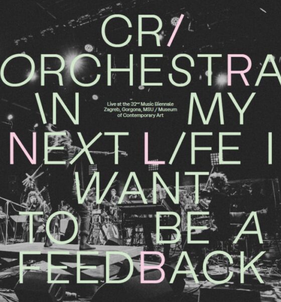 In my Next Life I Want to Be a Feedback
