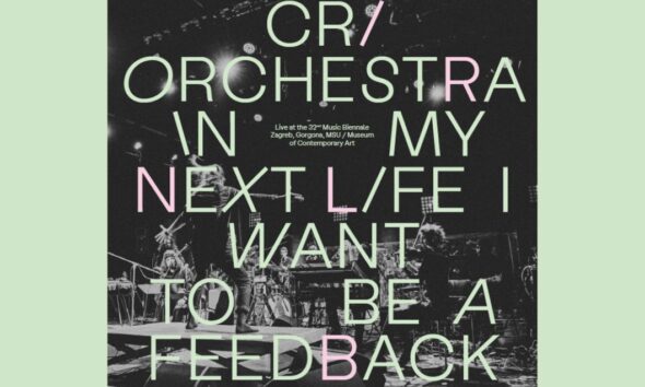 In my Next Life I Want to Be a Feedback