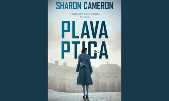 Plava ptica