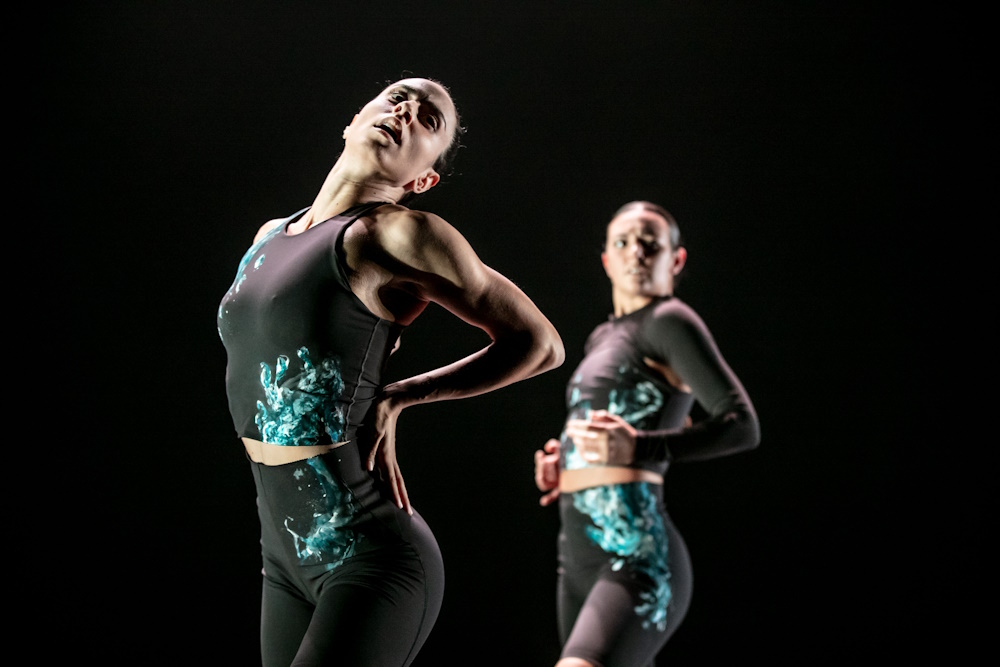 Šibenik Dance Festival