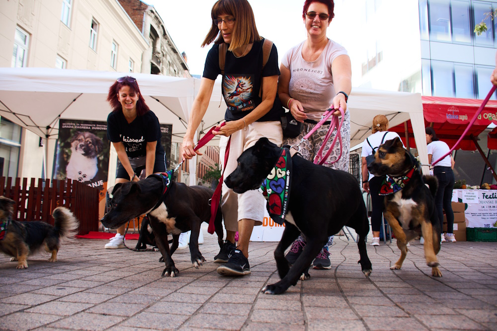 edukativni program posvećen zaštiti životinja