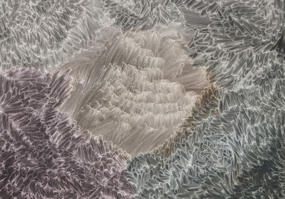 Samostalna izložba Ivana Midžića