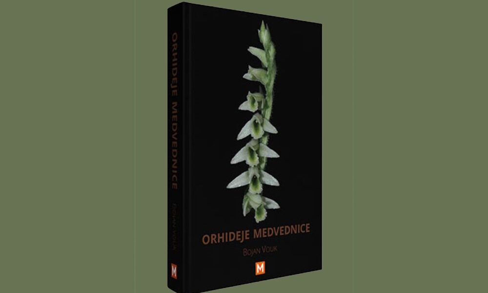 Orhideje Medvednice