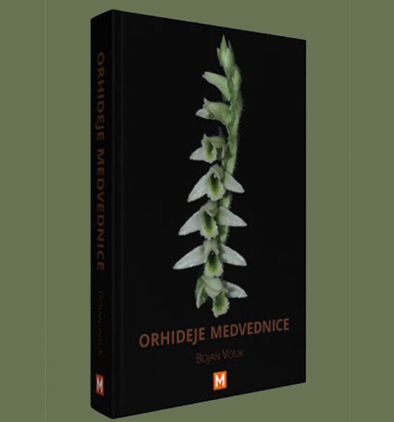 Orhideje Medvednice