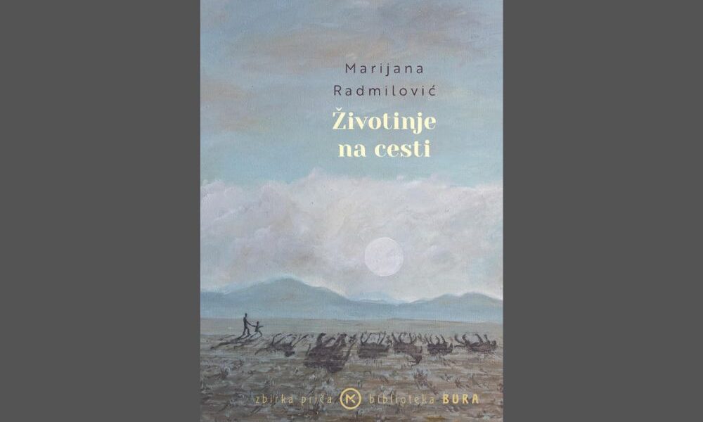 Zivotinje-na-cesti