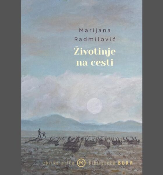 Zivotinje-na-cesti