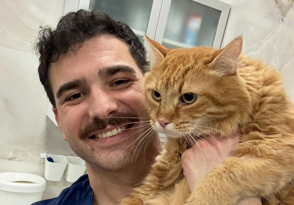 Svjetski dan kastracije pasa i mačaka