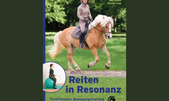 Reiten in Resonanz