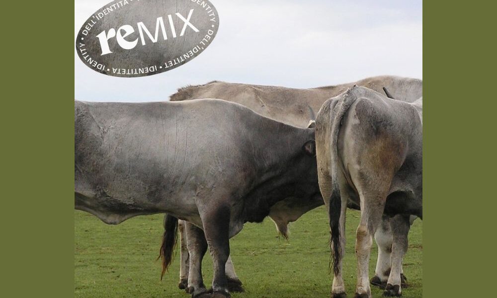 Remiks identiteta 10