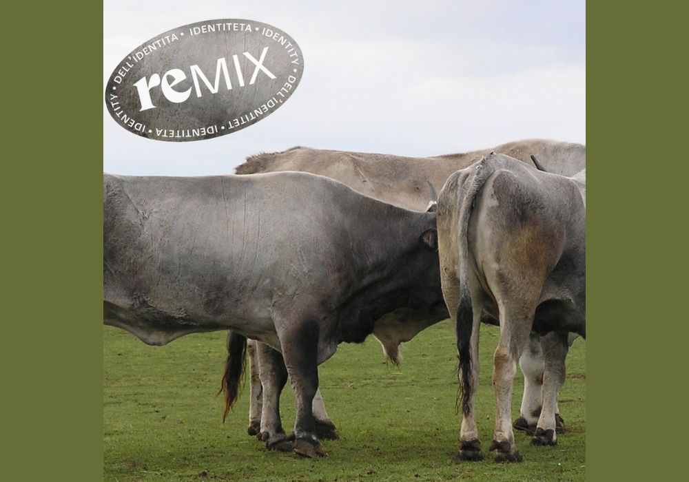 Remiks identiteta 10