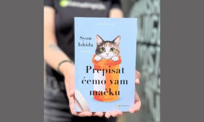 mačka
