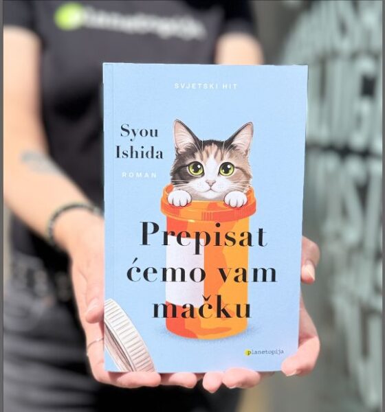 mačka