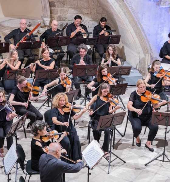 Dubrovački simfonijski orkestar