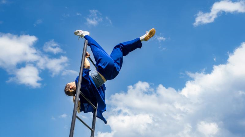 Fabla Collective: Do Birds Dream of Flying?